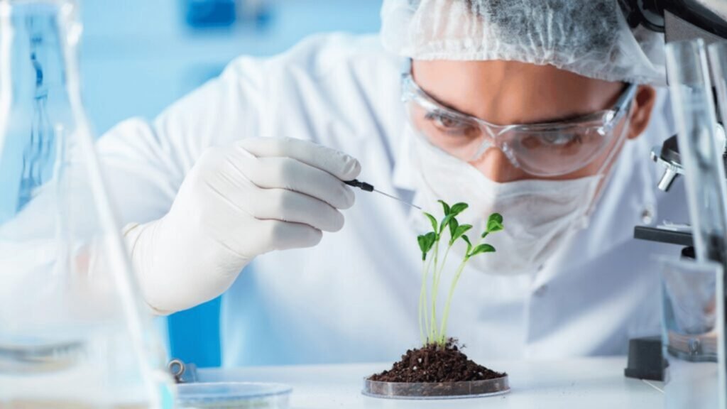 What are the different career options after the 12th class & how to choose the right career? 3 Biotechnology career options after the 12th class