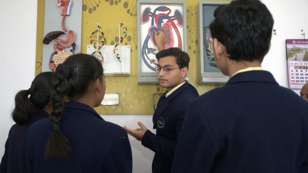 Personalized education helps other students