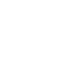 Sports academy 7 Basketball